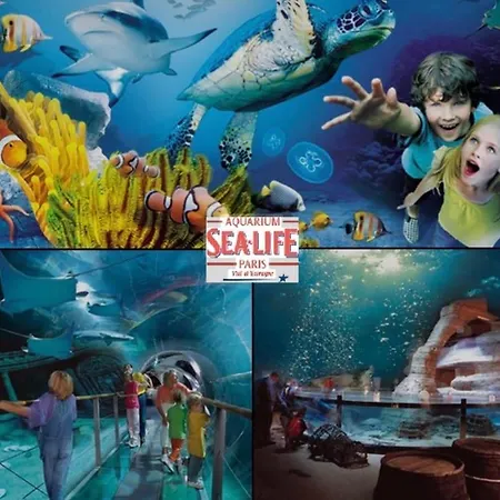 公寓 Sublime 5 Min Disneyland Paris Parking Wifi 塞里斯